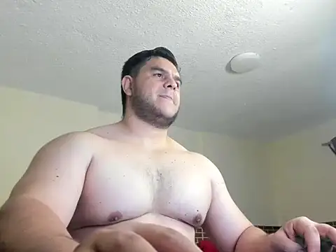 ApholoVV webcam