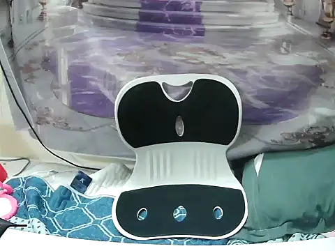 saha_baby webcam
