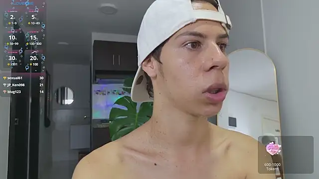grey___27 webcam