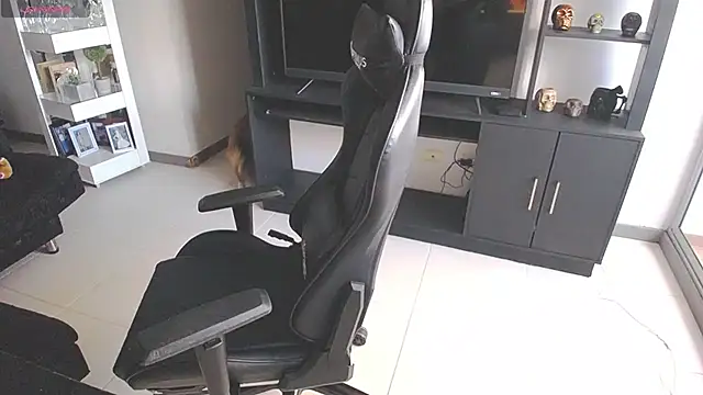 Pamela-fit webcam
