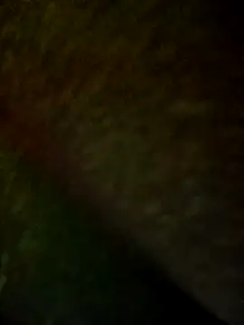 Lesly_10- webcam