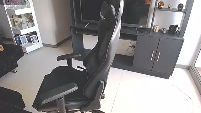 Pamela-fit webcam