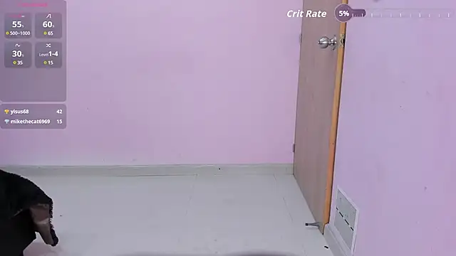 Kirara_22 webcam