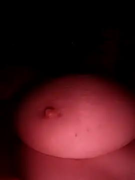 poussychats webcam