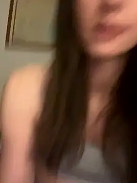 vienncica webcam