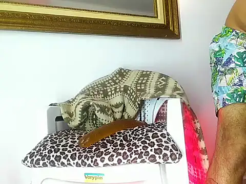 Santiago_galeos_ webcam