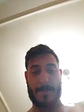 Dullsikici webcam
