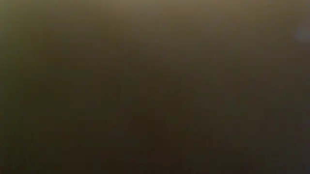 nicebrown webcam