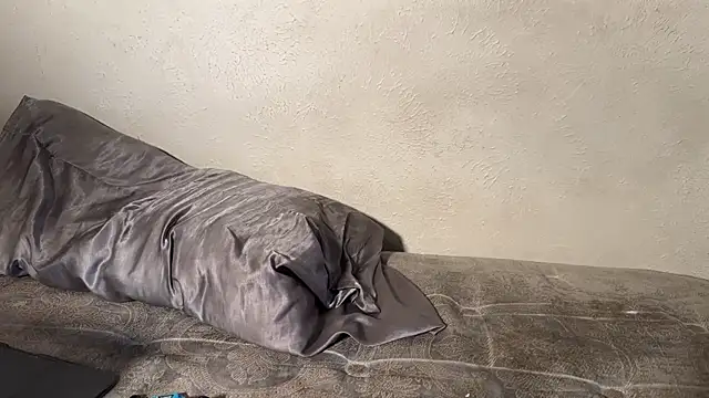 texpig webcam