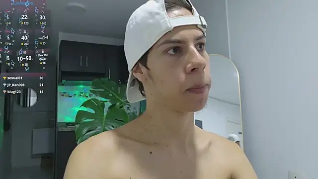 grey___27 webcam