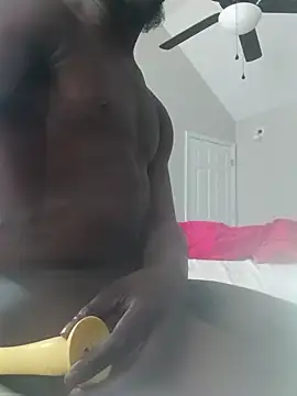 Reytone webcam