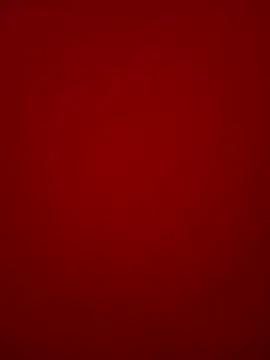 Swapna2025 webcam