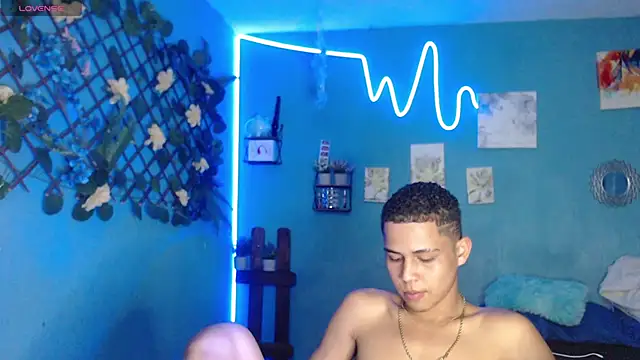 lorenzo_vasiri webcam