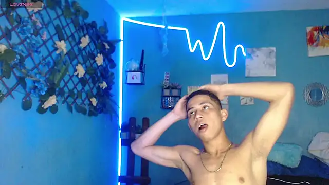 lorenzo_vasiri webcam