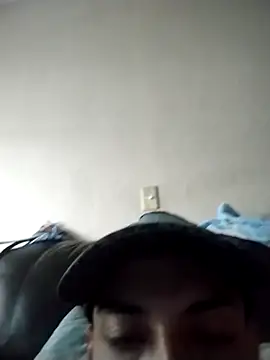 Gato33311 webcam