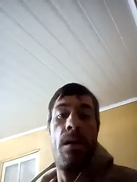 Tarad32333