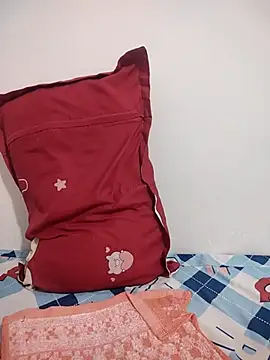 Yina219 webcam