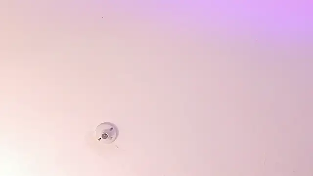 StefanCampbell webcam