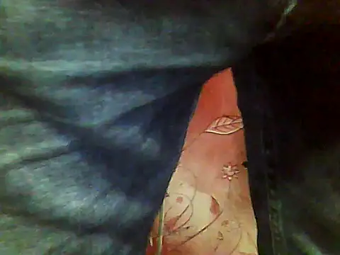 two_colour_cock webcam