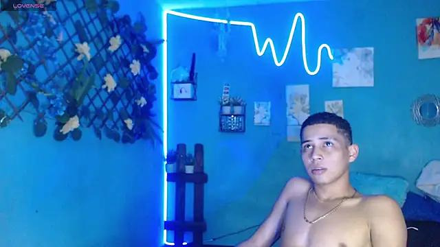lorenzo_vasiri webcam