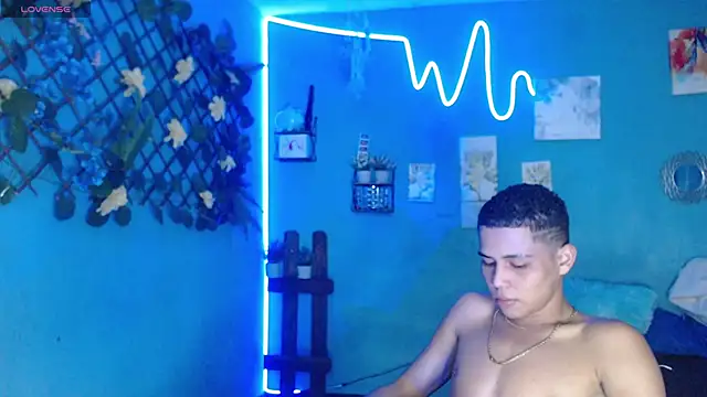 lorenzo_vasiri webcam