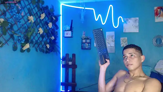 lorenzo_vasiri webcam