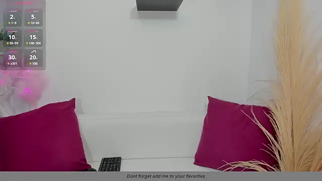 miaravel_ webcam