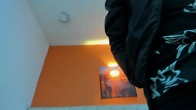PlayPartyy webcam