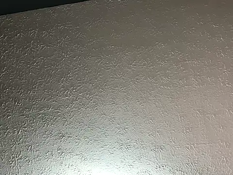 stevenwittduh webcam