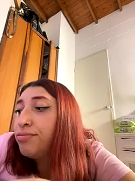 Paulina-Wells webcam