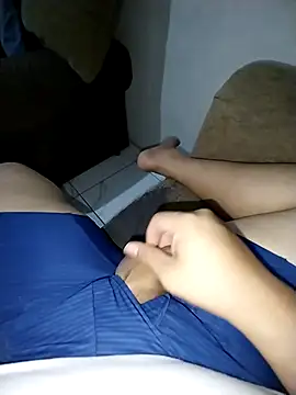 Whiper2024 webcam