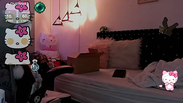 meow_mota webcam
