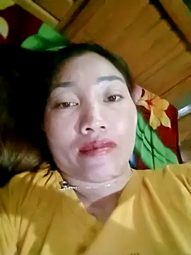 PhienPhien webcam
