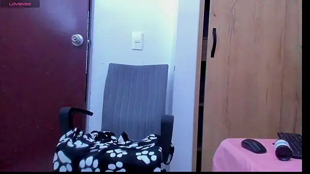 battistaturner webcam