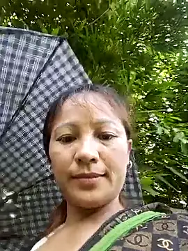 Sasuquy webcam