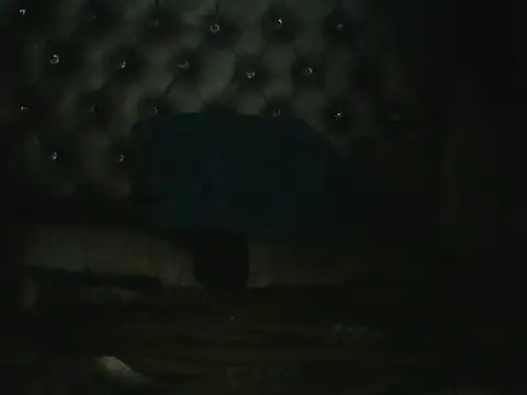 the_geisha_2021k webcam