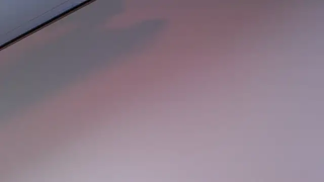 GyaCarpenti webcam