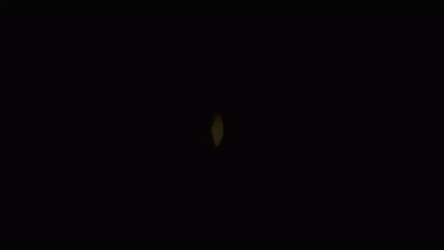 Модель: Manchita96_