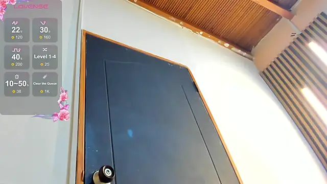 RYAN_PATERSON webcam