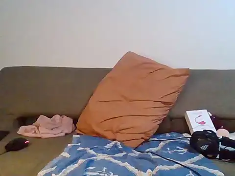 Mdbisc8 webcam