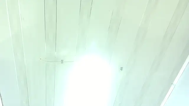  LanaBigTitties chat room