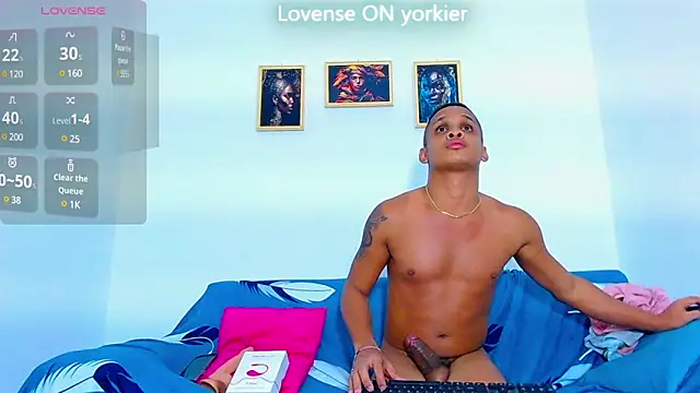 Yorkdirty webcam
