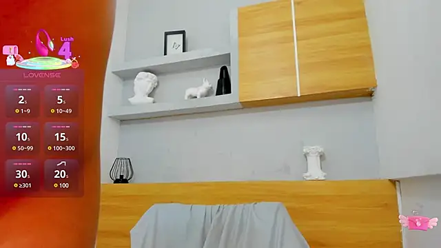 KyleFox3 webcam