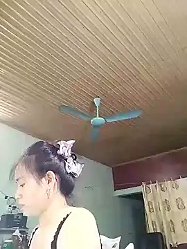 Lee-Nguyen webcam