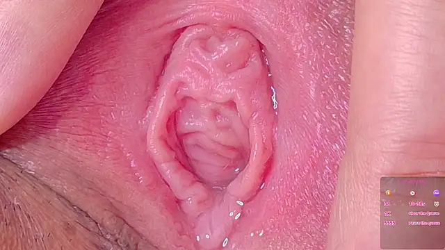 Alu_ryu webcam