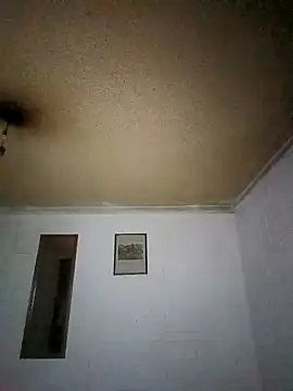 Suggarwhite18CM webcam