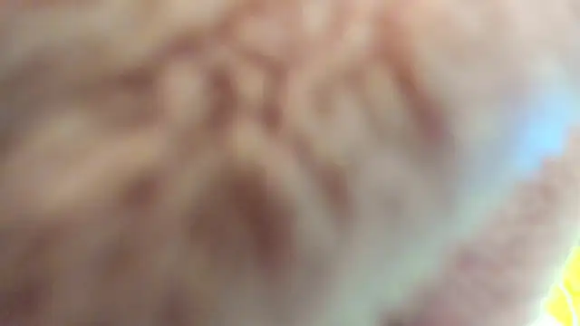 macarena_vallejo - Macarena_vallejo's free webcam - UK Sex Cams