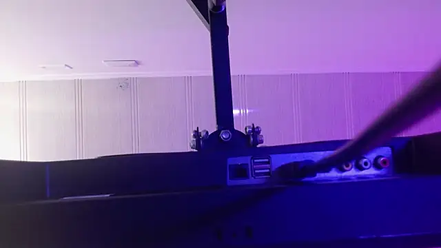 Aurora_blossom__ webcam