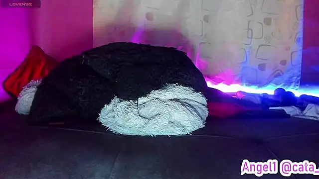 Cata-angel webcam