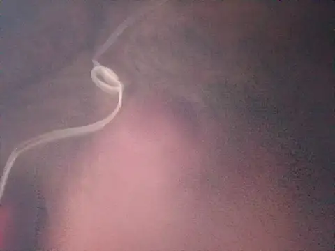 BlurtingWestward webcam